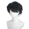 New Black Rain Silk Wig Synthetic Shiny Short Hair for Men Daily Costume Party Halloween Gifts