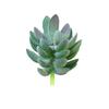 Diy Simulated Succulent Plant Hair Planting, Mini Fake Succulent Bonsai With Flowers, More Than 20 Styles Of Bn1