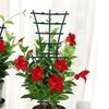 Compact And Lightweight Indoor Plants Plant Support Trellis Corrosion-Resistant