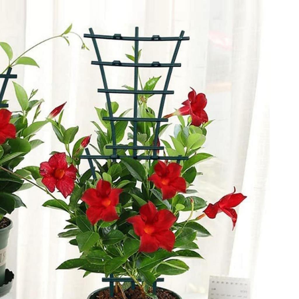 Compact And Lightweight Indoor Plants Plant Support Trellis Corrosion-Resistant