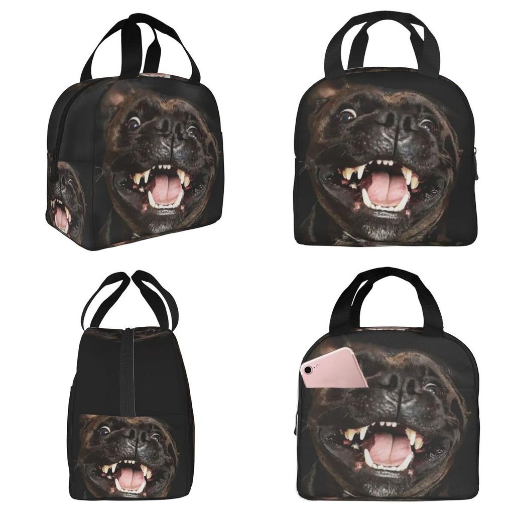 Staffordshire Bull Terrier Insulated Lunch Bag for Kids School Cooler Thermal Food Box Tote Leakproof Lunch Boxes Container