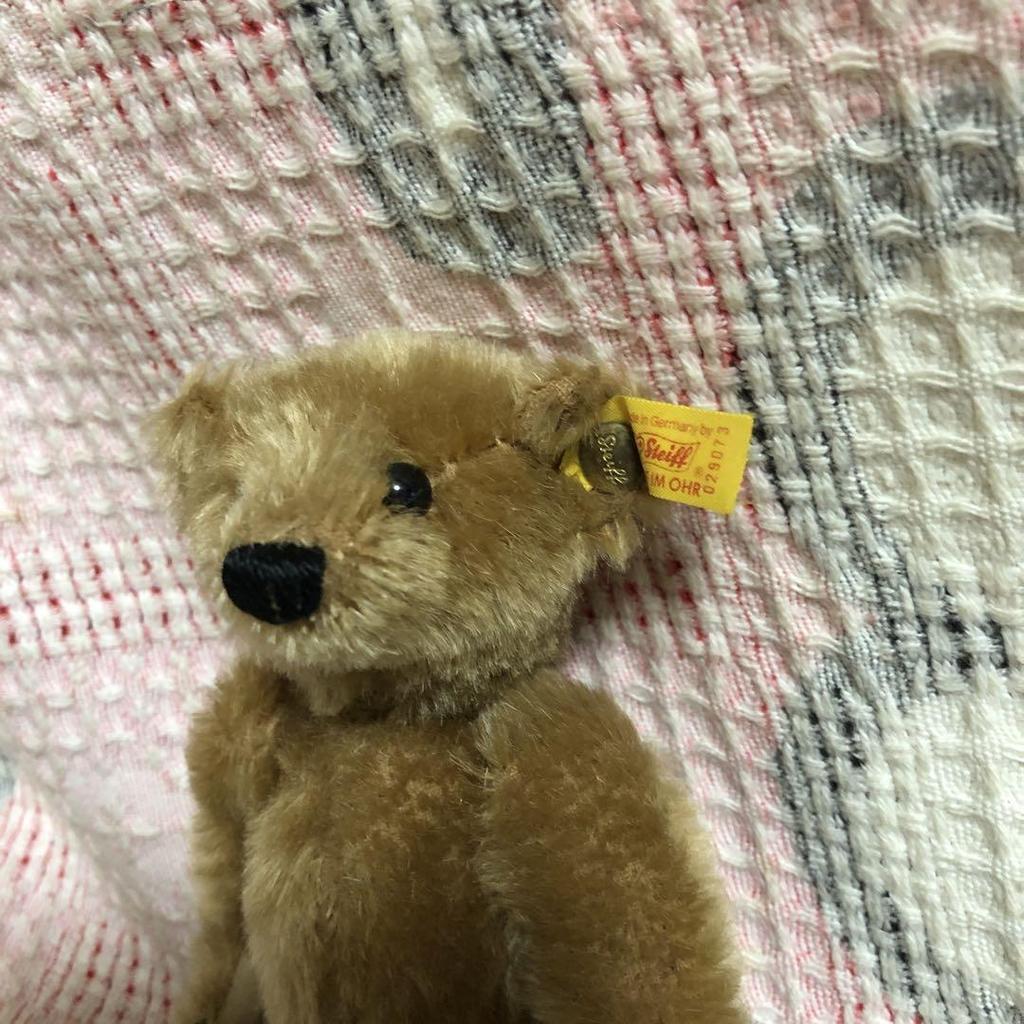 [USED] Steiff 029073 Cinnamon Bear Teddy Bear Plush Toy