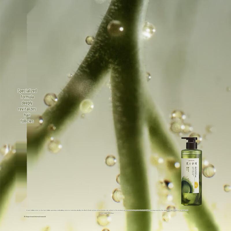 Hair Recipe Cold Brew Tea Pomelo Hydrating & Volumizing Shampoo