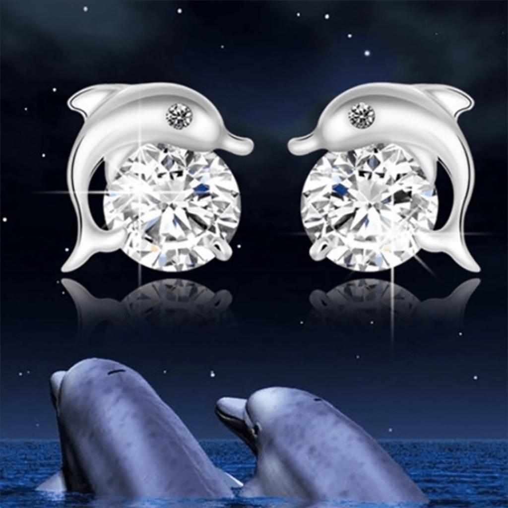 A Pair of Earrings and High-end Luxury Synthetic Zircon Earrings