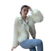 Imitation Fox Fur Jacket Women's Short New Autumn and Winter Imitation Raccoon Fur Locomotive Clothing Light Fashion
