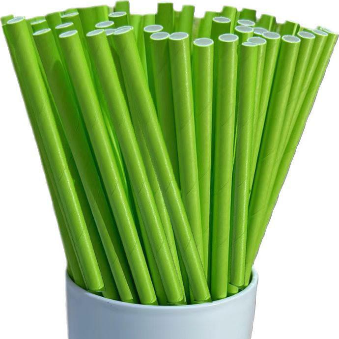 Individually Wrapped Biodegradable Striped Paper Straws