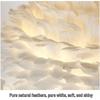 Nordic Gold Dimmable LED Feather Desk and Bedside Lamp