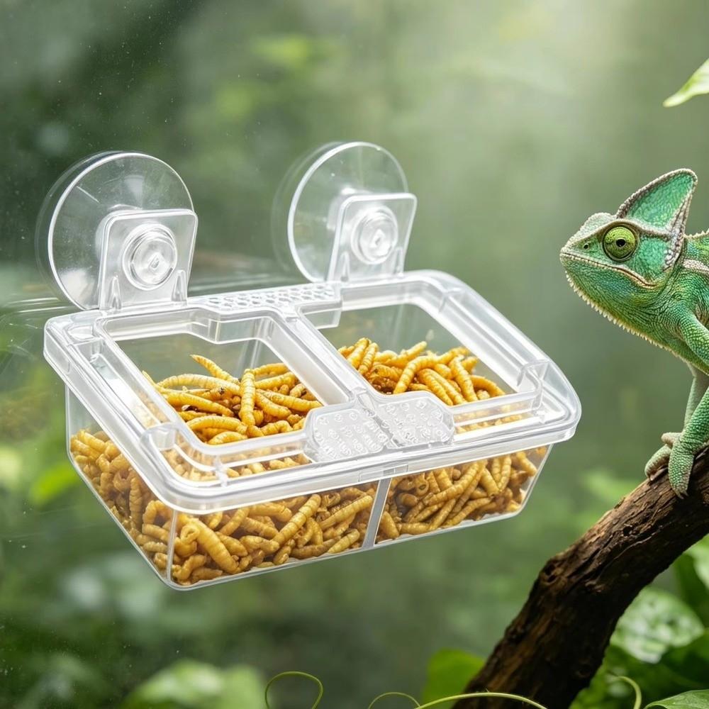 Transparent Suction Cup Reptiles Feeders Plastic Anti-Escape Food Bowl Reptile Drinker Bowl Snakes
