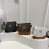 2025 Summer New High-end Texture Fashion Shoulder Bag Personalized Foreign Style Letter Printing Messenger Bag Bag Women