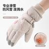 Ski Gloves Women's 2025 New Autumn Velvet Thickened Warm and Cold Electric Vehicle Riding Gloves