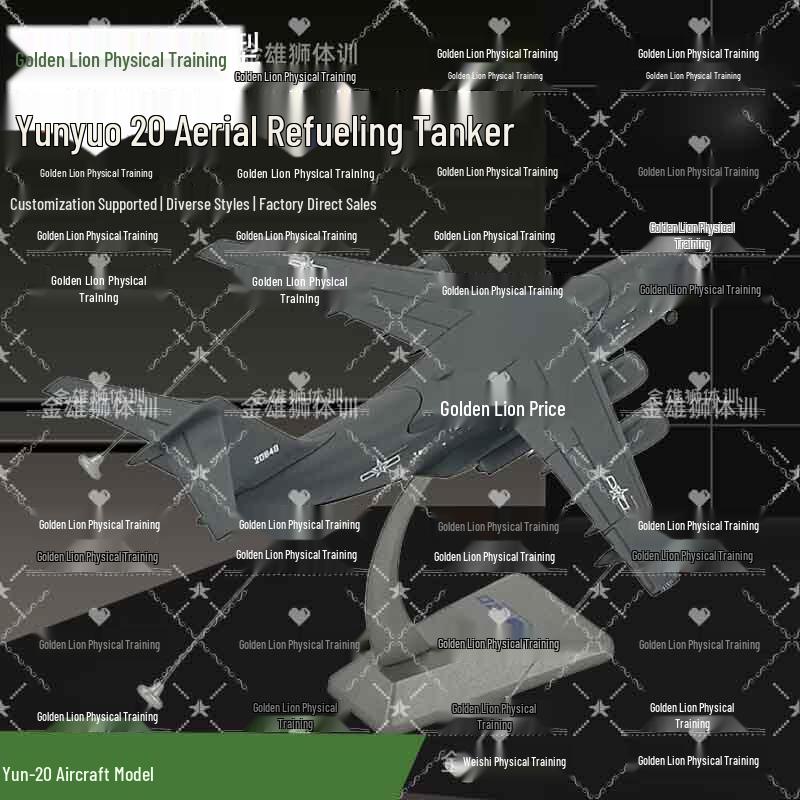 Golden Lion Y-20 Series Aircraft Model (1:260)