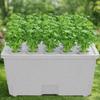 Split Design Hydroponic Box Thicken Nursery Pots Versatile Cultivation Box Plastic Germination Tray Herb Growing