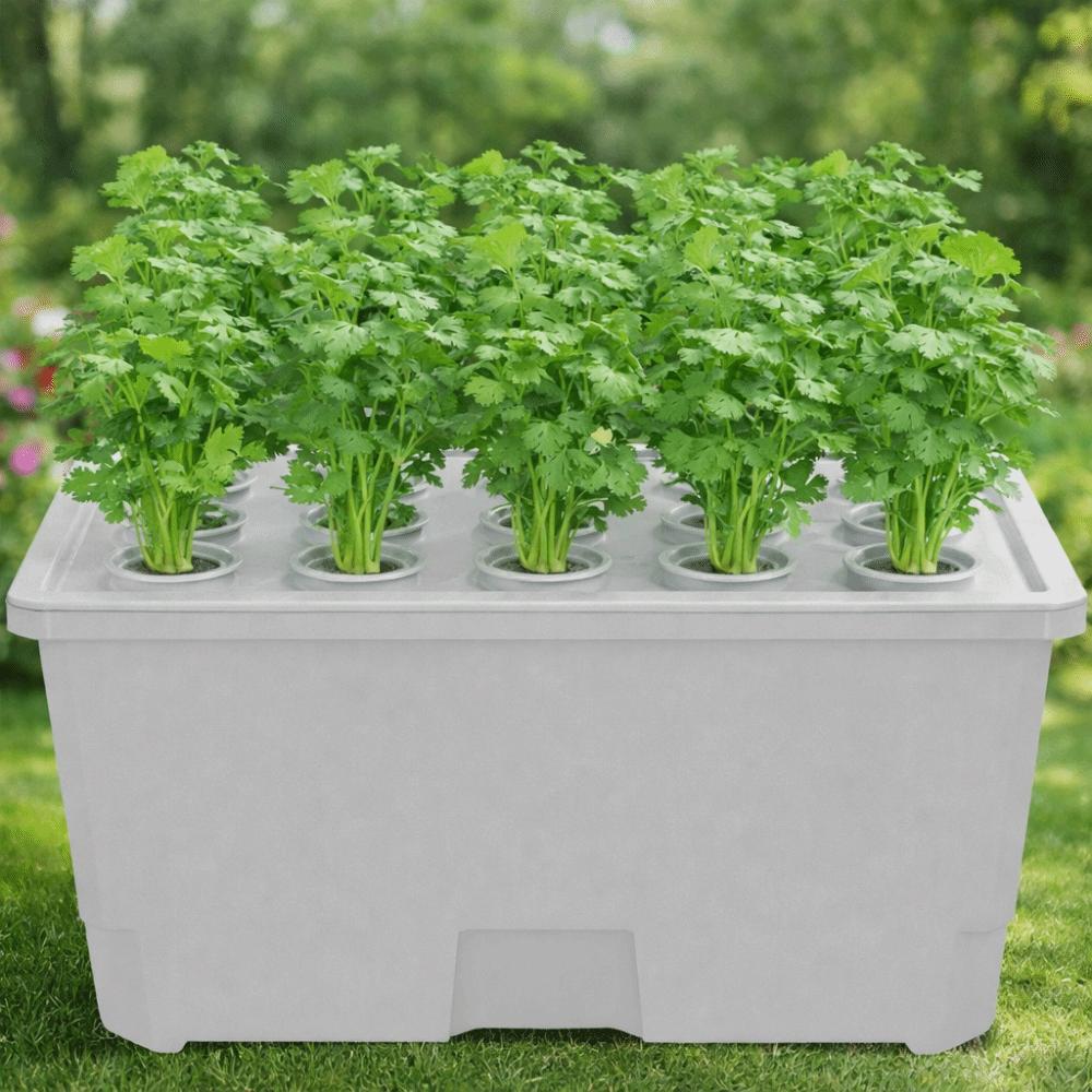 Split Design Hydroponic Box Thicken Nursery Pots Versatile Cultivation Box Plastic Germination Tray Herb Growing