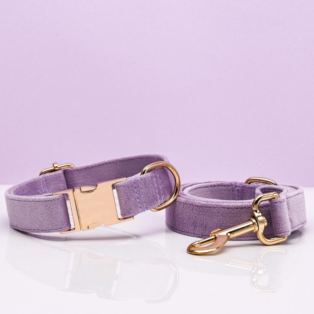 Ensemble collier et laisse pour chien en velours gravé avec boucle métallique réglable