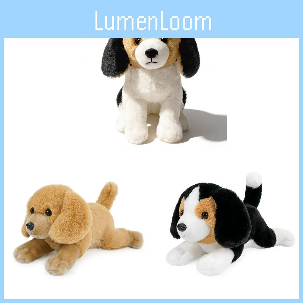 Peluche Cane Siberian Husky con Imbottitura Morbida in Cotone PP per la Stanza dei Giochi dei Bambini