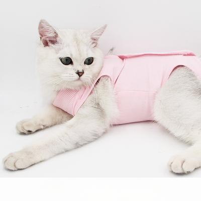 Cat Clothing, Postoperative Anti-licking, Sterilization Clothing, Pet Supplies, Anti-infection, Anti-bacteria, Comfortable, High Elasticity