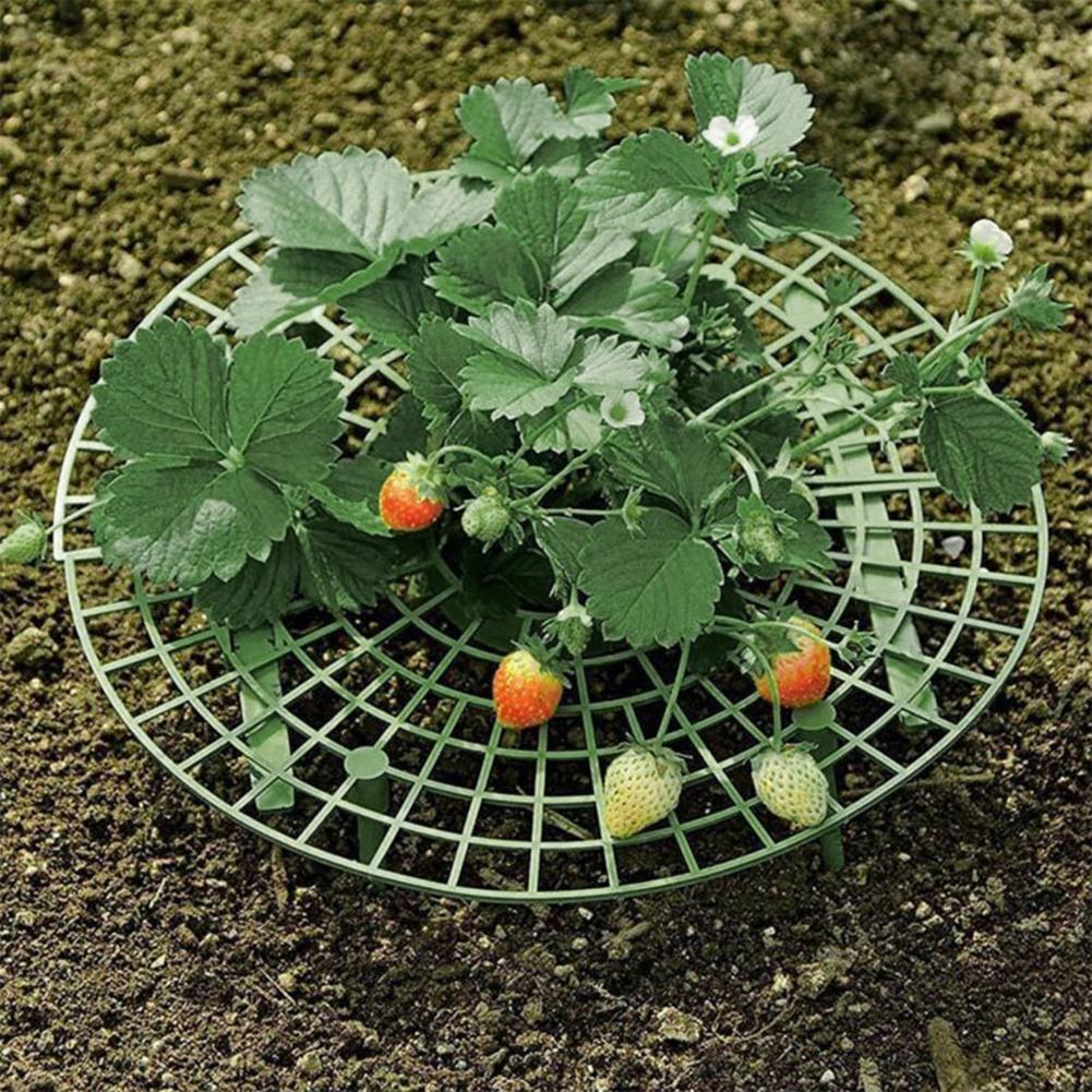 10pc Vegetable Growing Rack Strawberry Growing Plastic Supports Fruit Plant Tray Watermelon Anti Rot Holder Garden Planting Tool