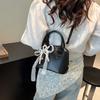 Spring and Summer Popular Beautiful Handbag New Fashion Versatile Messenger Bag Shoulder Shell Bag