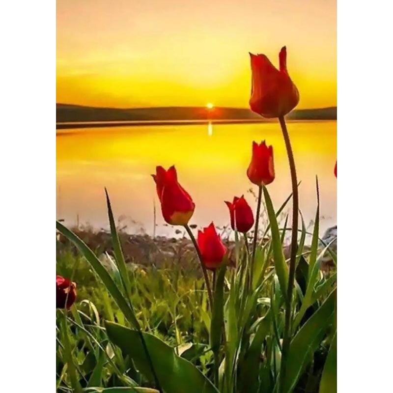 

5D DIY алмазная живопись закат пейзаж Алмазная вышивка пейзаж вышивка крестом полная круглая дрель ремесла домашний декор подарок Full Round 15x20CM