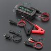RoyPow LiFePO4 Trickle LED Activation Reverse Short and Overcurrent Protection Charger, 14.4V/1A, 7.2V/1A, Charge, Light, Polarity, Circuit,