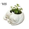 Three Dimensional Cat Planter 3D Printed Sleeping Flowerpot, Mini Desktop Planter, Unique Indoor Garden Decor Decorative Plant Holder for Succulents