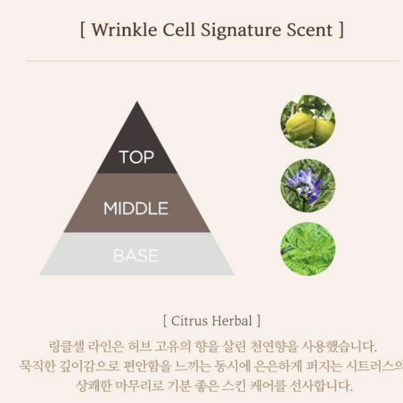 CENTELLIAN24 Wrinkle Cell Core Eye Cream Double Set (+ Free Serum 10ml × 2)
