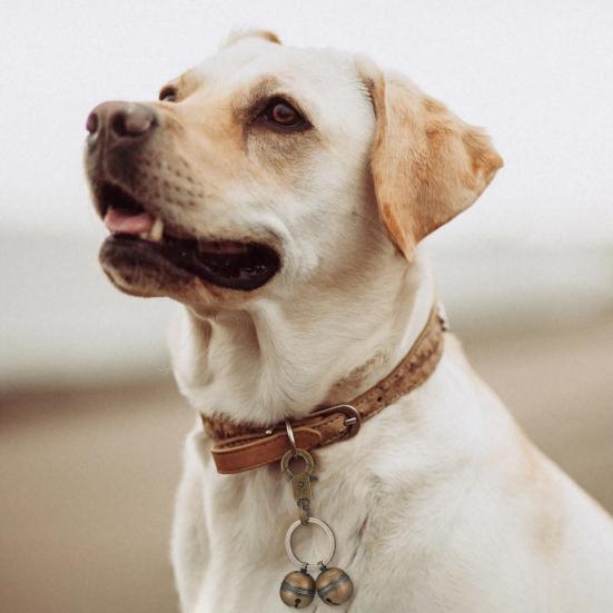 Κουδούνι με κολάρο κατοικίδιων Εξαιρετικά δυνατά κουδούνια παρακολούθησης κατοικίδιων, χάλκινα κουδούνια με κλιπ αστακός Αξεσουάρ κουδουνιού για κατοικίδια για γάτες σκύλους