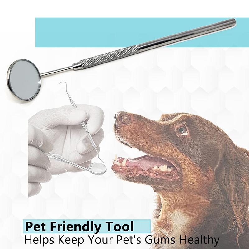 Oglindă dentară din oțel inoxidabil #5 cu mâner de 6,2", Instrument de dentist pentru inspecția de curățare a dinților