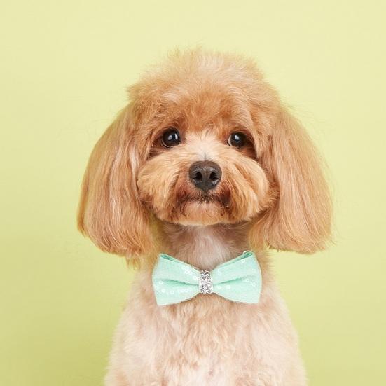Haustier-Pailletten-Bowknot-Halsband, verstellbar, leicht, süß, niedlich, Katze, kleiner, mittelgroßer Hund, Welpe, Halskette, Heimtierbedarf