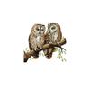 Owl Flower Branch Wall Stickers Living Room Glass Window Home Decorration Mural Bedroom Decor Self Adhesive Animal Decals