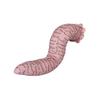 Peluche Vers des Sables Inspirée de Dune - Créature Rouge Douce pour Décoration Intérieure, Cadeau pour Enfants, Adultes et Fans du Film