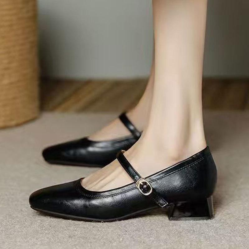 Temperament high heels square head thick heel light mouth single shoes spring 2025 new French retro Mary Jane women's shoes