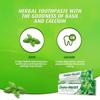 Herbal Basil Toothpaste + FREE Toothbrush Dabur