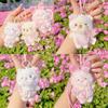 Blossom Bear Cherry Rabbit Cat Plush Keychain Stuffed Doll Toy Gift Pendant