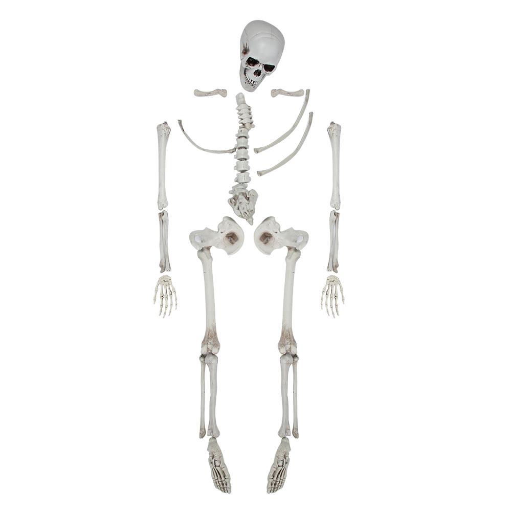 Halloween Room Haunted House Bar Decoration Terrorist Body Skull Skeleton 28 Parts Tricky Props