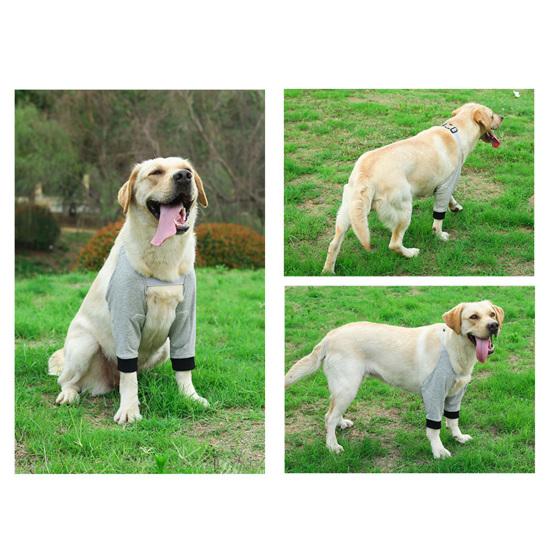 Dog Protector Front Chest Webbing Adjust Buckle Fixed Ring Comfortable Breathable After Injury Tool