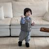Boys Plaid Cotton Vest Jacket Autumn and Winter Children's Clothing New Baby Clothes Winter Thickened Sweatpants