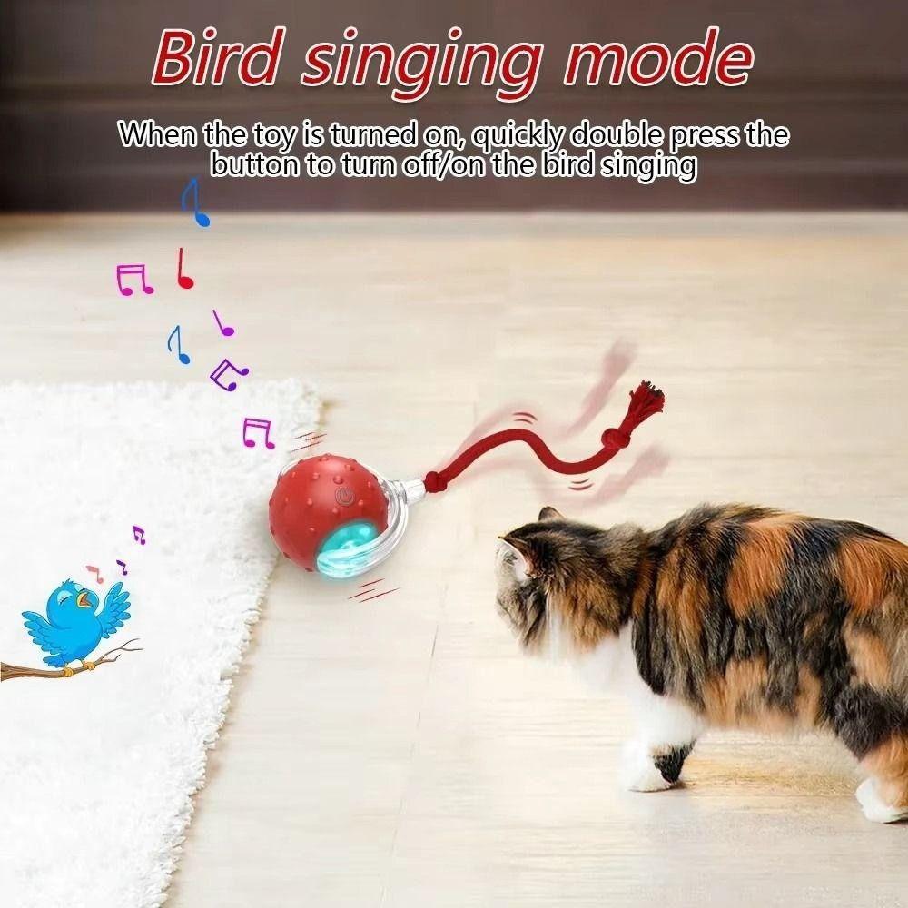 Automatic Smart Cat Toys Fast Rolling Imitate Mouse Tail Dog Cat Training Ball with Bird Sounds Indoor Playing