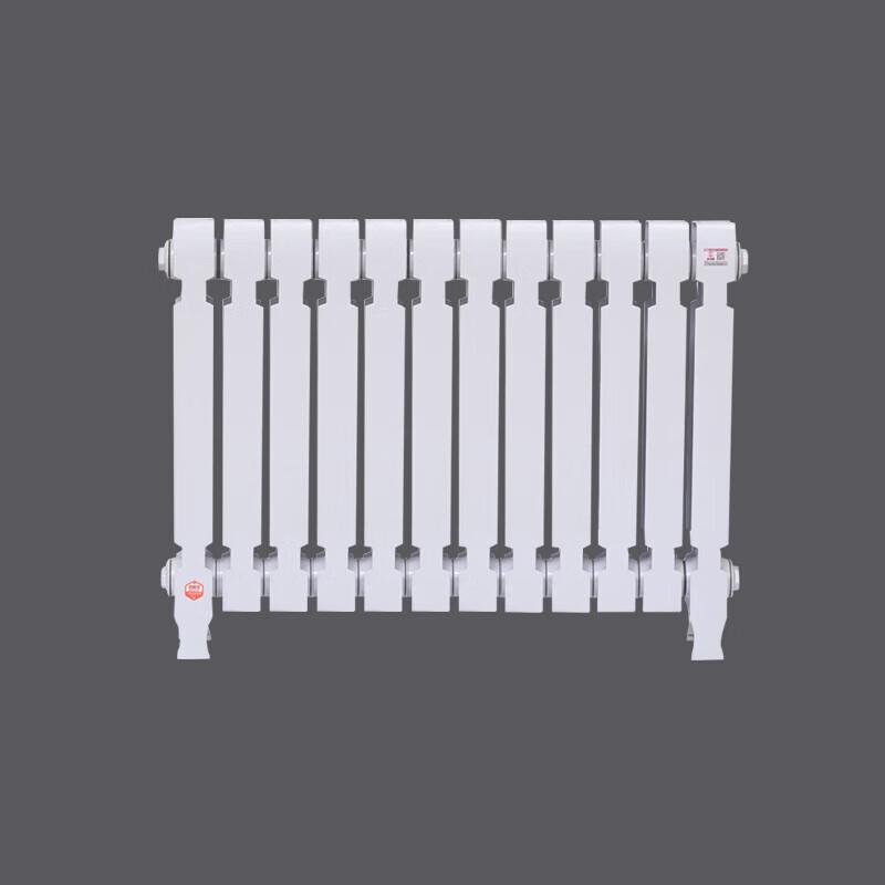 Lixing TZY2-6-8 Cast Iron Radiator