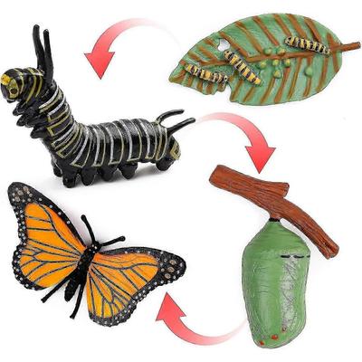 Kit Ciclo Vitale Farfalla Monarca da 4 Pezzi, Strumento Educativo per l'Apprendimento della Natura per Bambini e Studenti