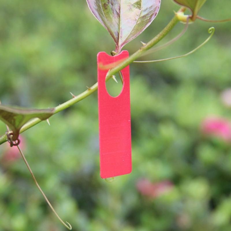 800pcs Plant Labels Wrap Around Tree Sign Markers Regulable Nursery Garden Labels for Outdoor Use In Gardens Orchards