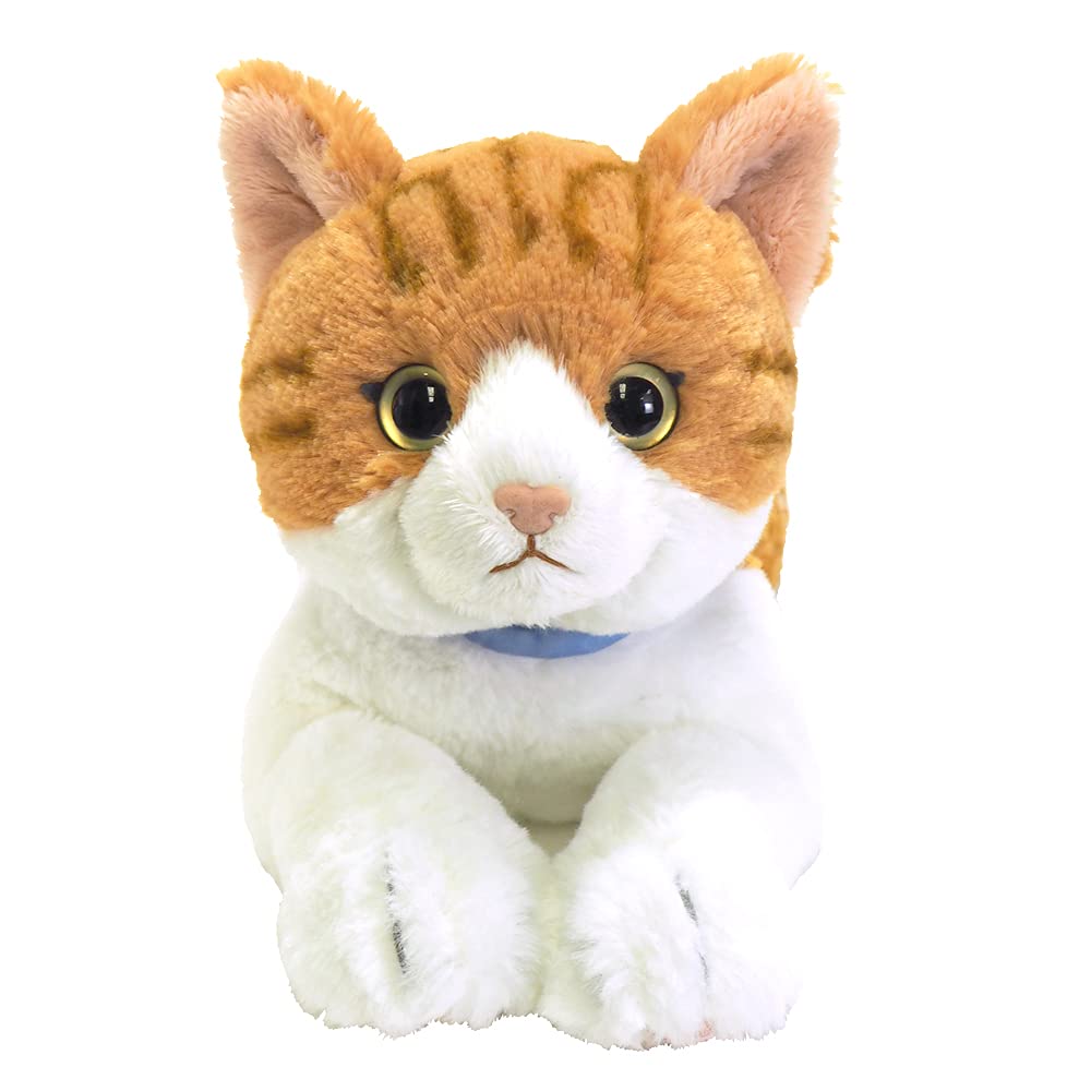 Sunlemon Lap Cat Chashiro Medium 47 x 16 x 18cm Plush Animal P-7802