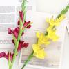 Künstliche Gladiolenblumen 22" Real Touch Blume mit langem Stiel 4 volle Blüten und 1 Knospe Gefälschte Orchidee für Vase