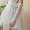 Bow Lace Sleeves JK Girl Calf Sleeves Long Tube Lolita Lace Bow Sunscreen Sleeves