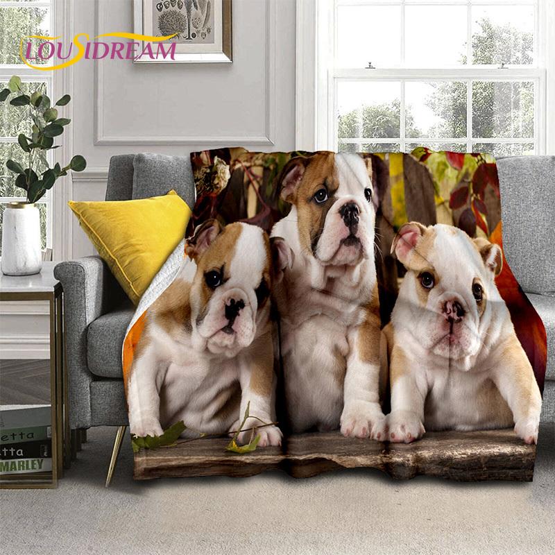 Cartoon French Pit Bull Dog Pet 3D Blanket,Soft Throw Blanket for Home Bedroom Bed Sofa Picnic Travel Office Cover Blanket Kids
