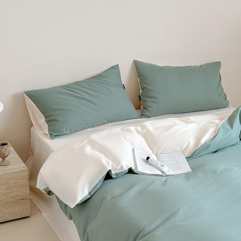 LiiLang Thickened Four-Piece Bedding Set