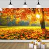 2D Glowing Autumn Sunlit Maple Tree Photography Background
