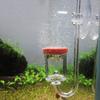 Acrylic Aquarium Carbon Dioxide Transparent Bubble Counter Refiner Fish Tank Water Plants CO2 Atomizer Diffuser