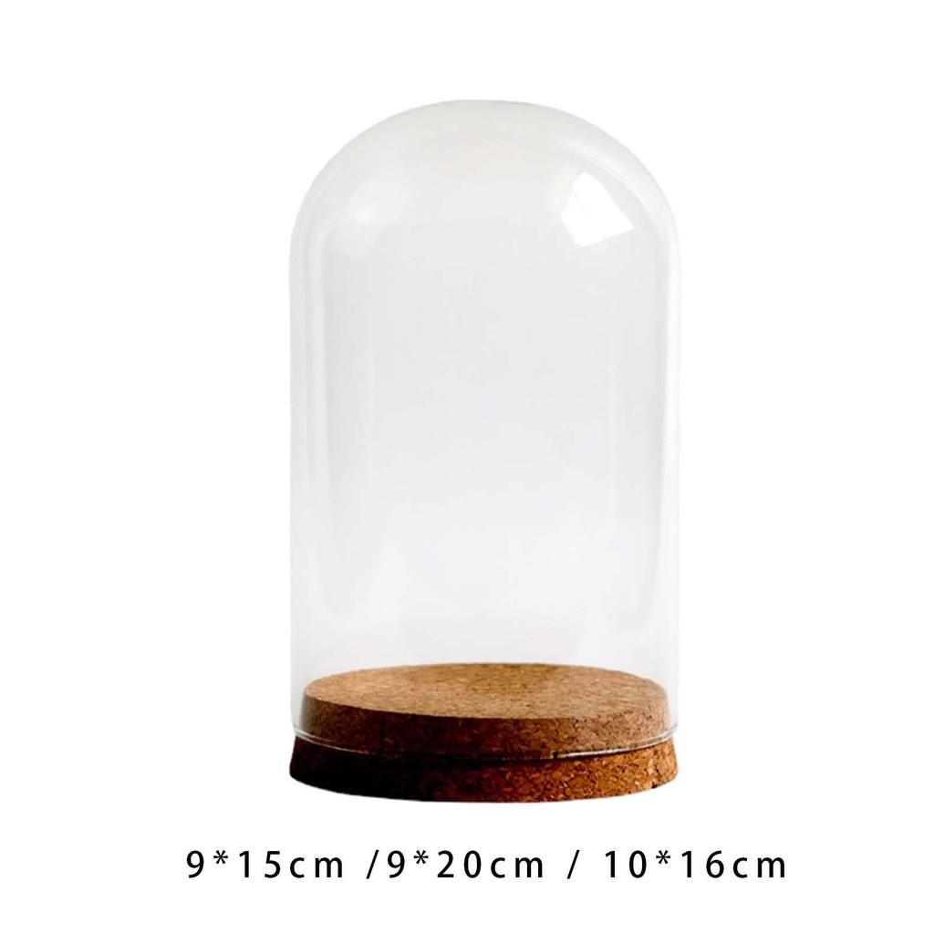 DIY Glass Dome Cloche Holder for Microlandscape and Home Display