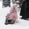 Nyaste valpoveraller för små hundar Vintervarma Förtjockade Husdjursjumpsuit Pomeranian Malteser Yorkshire-onesie mascotas Romper